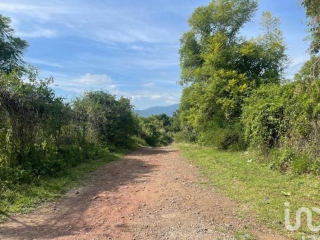 Se venden terrenos en Malinalco barrio de San Juan