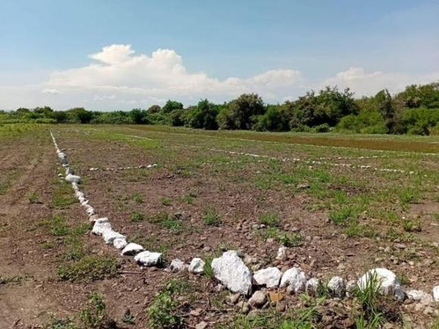 SE VENDEN TERRENOS EN TEQUEQUITENGO