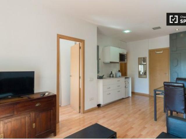 Se alquila apartamento de 1 habitación en La Torrassa, L' Hospitalet de Llobregat, Barcelona
