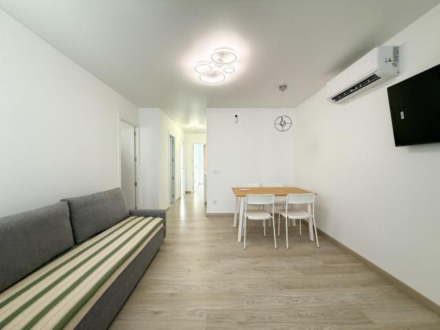 Se alquila apartamento de 3 dormitorios en pleno centro de Alicante