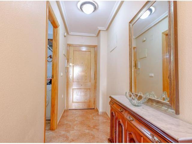 SE ALQUILA APARTAMENTO EN TORREVIEJA DE 1 DORMITORIO 1 BAÑO +GARAJE+TRASTERO