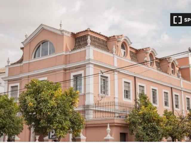 Se alquila cama en habitación compartida en residencia en Sevilla Media pensión incluida