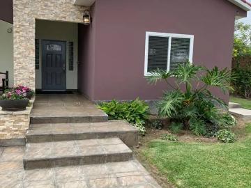 Casa en alquiler en Ica, Perú - Jardín