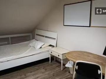 Se alquila habitación en piso de 15 habitaciones en Madrid