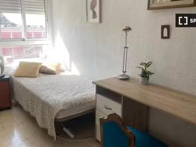 Se alquila habitación en piso de 3 dormitorios en alquiler en.