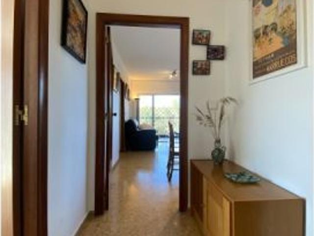 Se alquila piso de 3 habitaciones en El Saler, todos los gastos incluidos