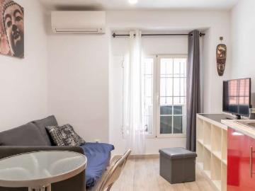 Apartamento de 1 dormitorio en alquiler en Embajadores, Madrid