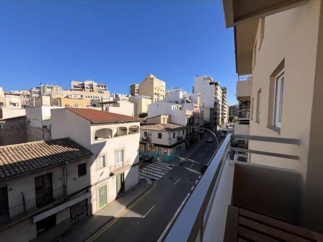 Se alquila piso de 1 habitación en Camp d'en Serralta