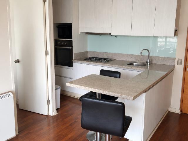 Se Arrienda Departamento Amoblado en calle Viana