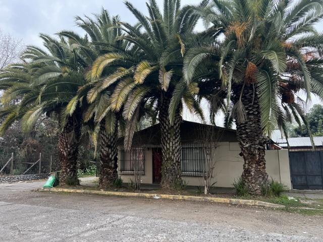 Se Arrienda Amplia Casa en Curicó