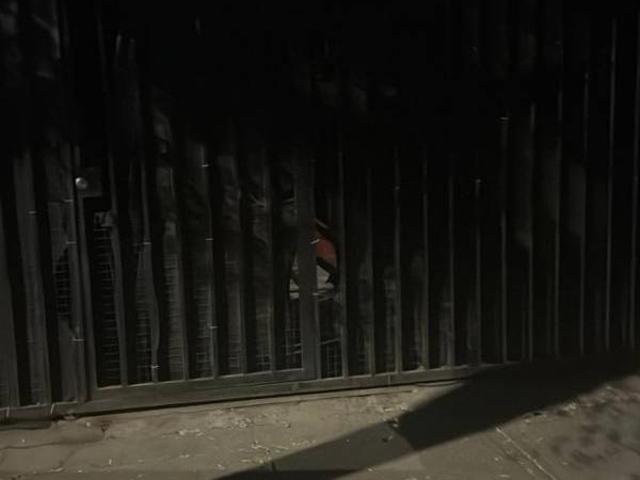 Se arrienda casa en el bosque