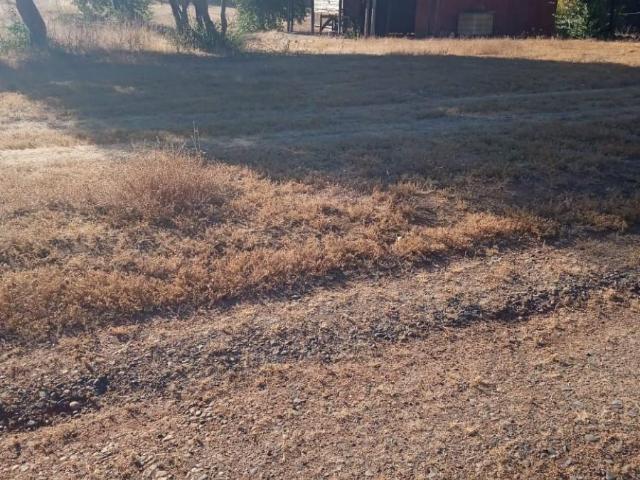 Se arrienda casa en El Galponcillo, Ránquil. Región de Ñuble