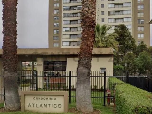 Se arrienda depto. cond atlántico, g.carreño viña del mar.