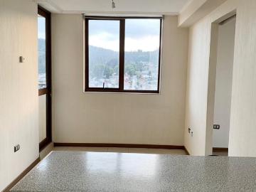 Se arrienda departamento 1 dormitorio Concepción