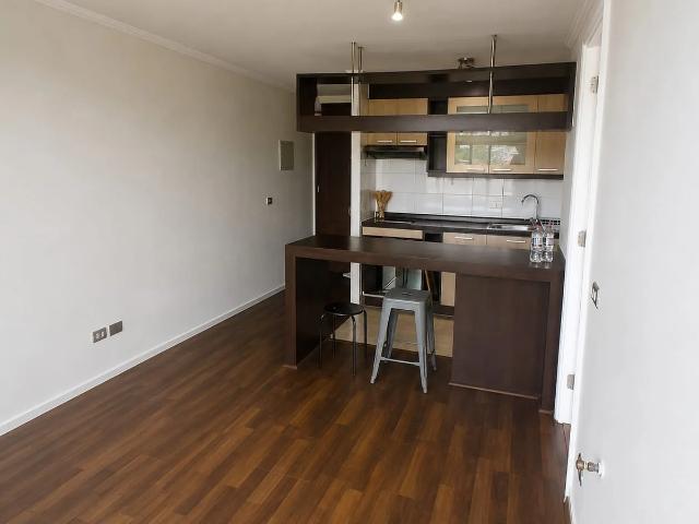 Se arrienda departamento 1 dormitorio viana viña del mar