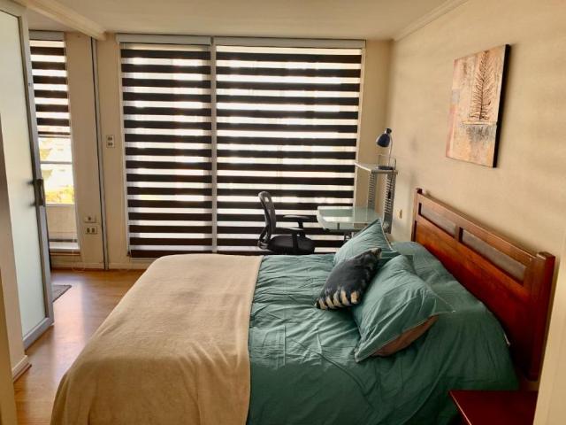 se arrienda departamento amoblado 1 dormitorio Concepcion