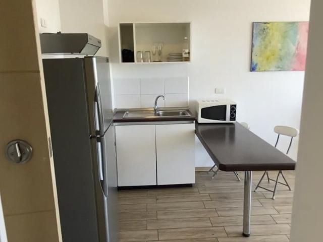 Se Arrienda departamento amoblado de 1D y 1 B con thermo propio
