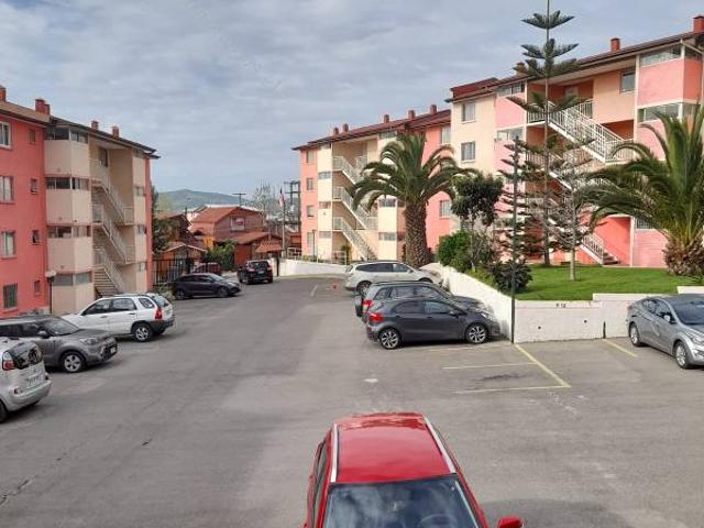 Se arrienda departamento Belloto 2000