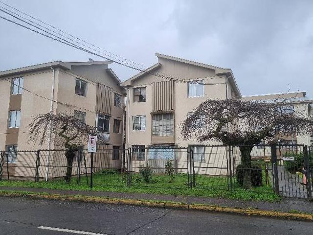 Se arrienda departamento en Pedro Lagos