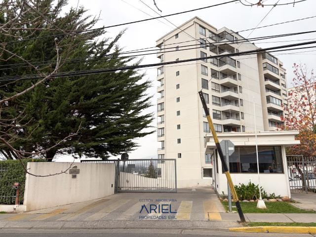 Se arrienda departamento Los Pinos Quilpue