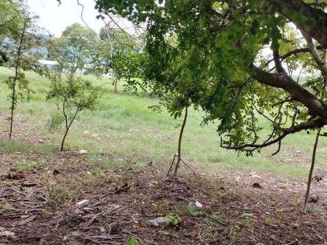 Se renta terreno en Plan de Ayala Carretera Internacional Tuxtla Gutierrez