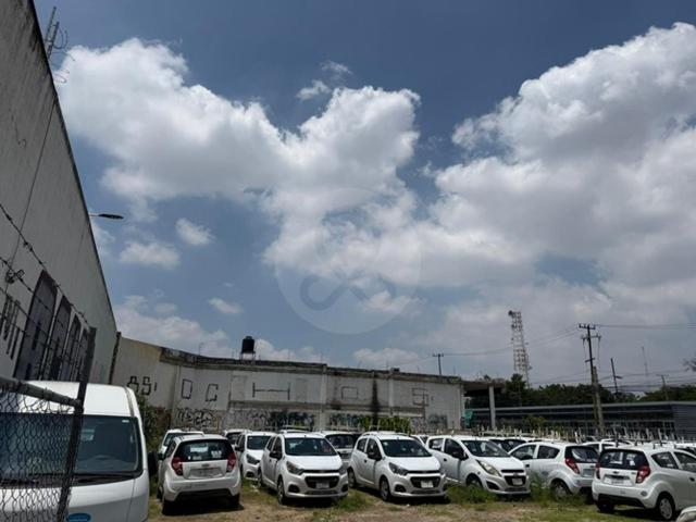 SE RENTA TERRENO SOBRE CALZADA DE LAS PALMAS