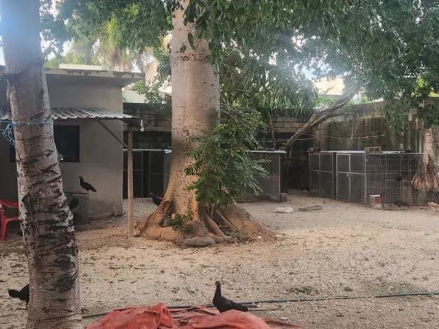 SE RENTA TERRENO 2,500 M2 AVENIDA COLEGIOS, LAZARO URBINA, BONFIL, CANCUN