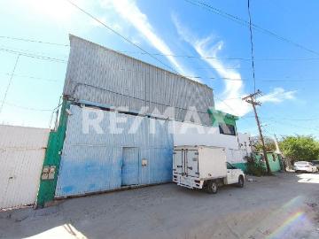Se renta Bodega Comercial, planta con 3 cámaras frigoríficas, Benito Juárez, La Paz