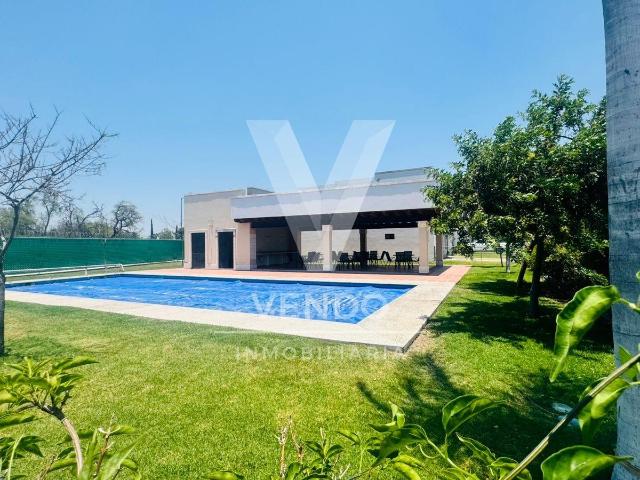 se renta casa en el fraccionamiento quintas campo real