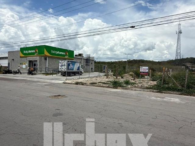 SE RENTA EXTENSO TERRENO UBICADO EN SIGLO XXI, CAMPECHE