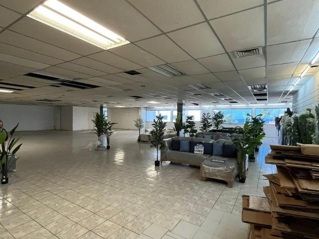 SE RENTA LOCAL AMPLIO EN PLAZA DEL MAR EN CAMPECHE