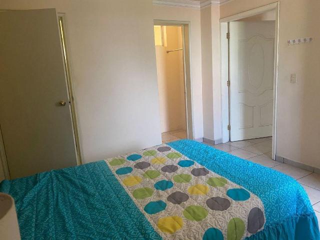 Se renta mini loft en Loma Dorada