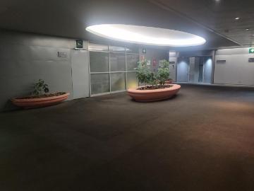 Se Renta Oficina en Edificio Kalo sobre Constituci?n, Monterrey