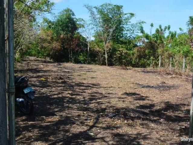 Semi agricultural land