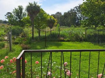 Semi detached house to rent in Kokstad