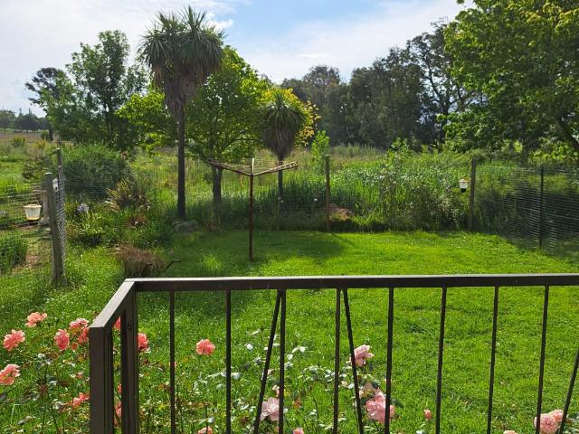 Semi detached house to rent in Kokstad