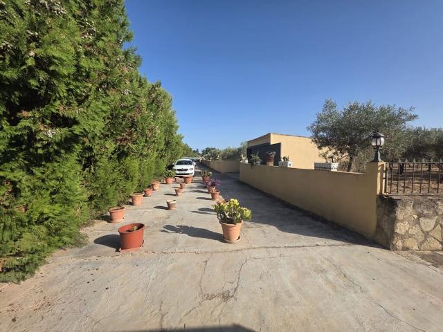 Semi detached Villa for rent in Biniagual, Binissalem, Mallorca