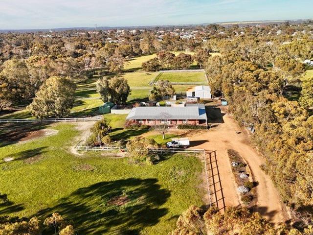 Semi Rural Living with Equestrian Facilities