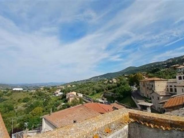 Semindipendente Terratetto a Alviano