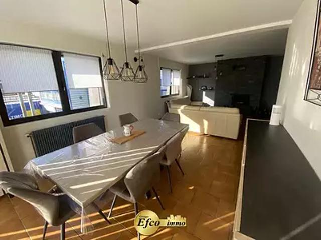 Sentheim 68780 Achat / Vente maison 11 pièces t11
