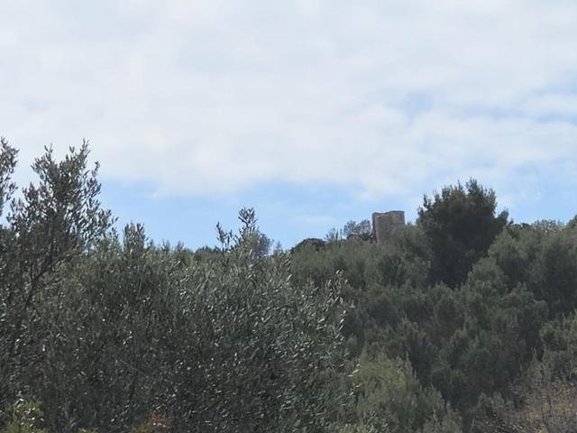 sentiero Degli Infreschi 15 vani 340mq