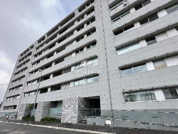 Avenida De Manuel Pinto De Azevedo, Senhora da Hora, São Mamede de Infesta e Senhora da Hora, Matosinhos, Distrito de Porto