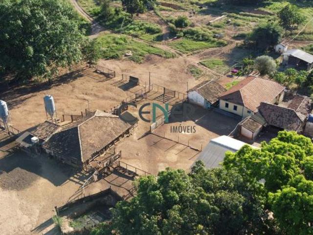 Sensacional fazenda de 450 ha dupla aptidão ou até 750 ha