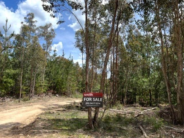 Sensational Weekend Lifestyle Opportunity Choice of 4 Freehold Title Bush Blocks