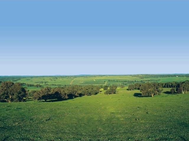 SENSATIONAL LAND SALE! 10,000 Sq M Residential Land