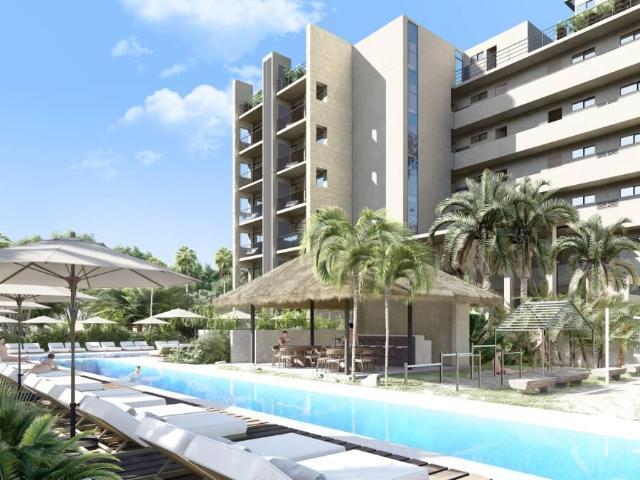 Sea Lofts Sports Living Cozumel | Departamento en preventa frente al mar, piscina, gimnasio