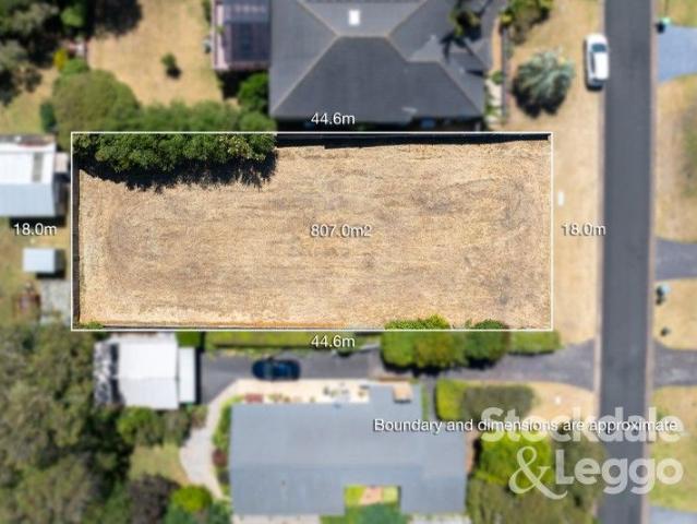 Seaside Potential: Last Vacant Land in the Street