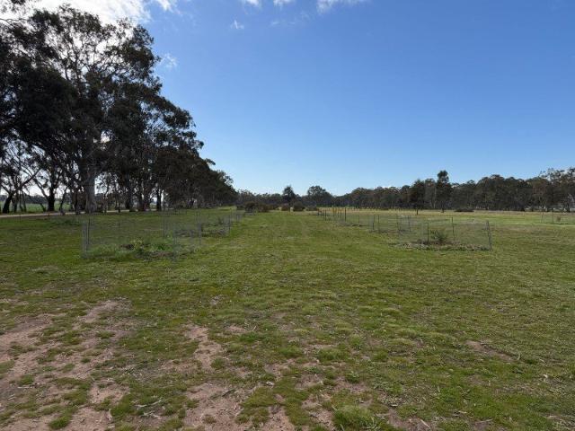 SEASONAL CREEK, ESTABLISHED PLANTINGS 7.8ha OF QUIET ARMING ZONE AND, REDBANK