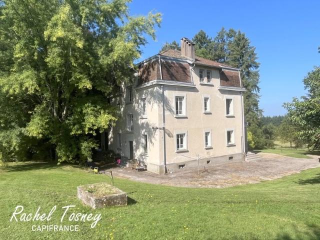 Secteur Fougerolles, Belle Maison bourgeoise T9 sur terrain. 260m² Fougerolles