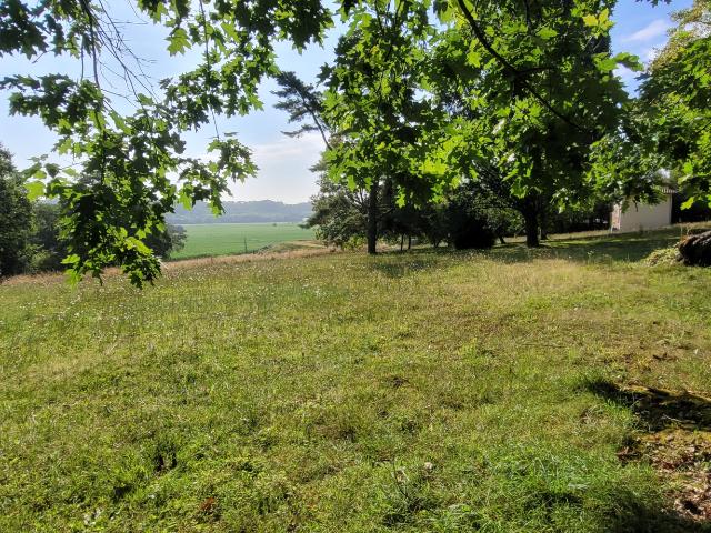 Secteur Samadet, maison de maître 6 chambres, avec sa dépendance sur plus de 2 hectares avec un puits